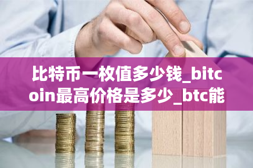 比特币一枚值多少钱_bitcoin最高价格是多少_btc能涨吗