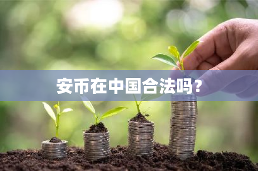 安币在中国合法吗？