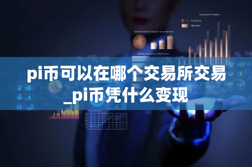 pi币可以在哪个交易所交易_pi币凭什么变现