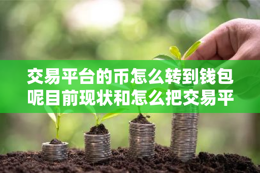 交易平台的币怎么转到钱包呢目前现状和怎么把交易平台的币转到钱包详细介绍-第1张图片-ZBLOG 交易平台的币怎么转到钱包呢目前现状和怎么把交易平台的币转到钱包详细介绍-第1张图片-ZBLOG