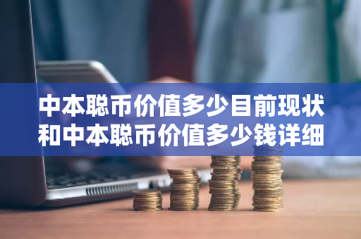 中本聪币价值多少目前现状和中本聪币价值多少钱详细介绍-第1张图片-ZBLOG 中本聪币价值多少目前现状和中本聪币价值多少钱详细介绍-第1张图片-ZBLOG