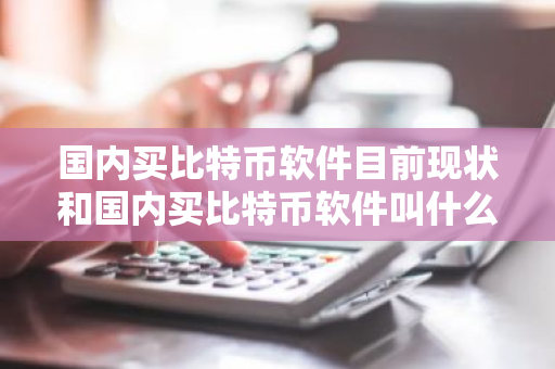 国内买比特币软件目前现状和国内买比特币软件叫什么详细介绍
