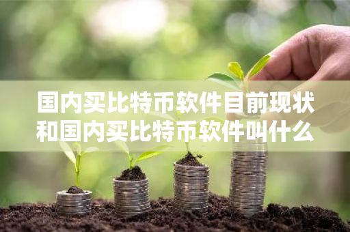 国内买比特币软件目前现状和国内买比特币软件叫什么详细介绍