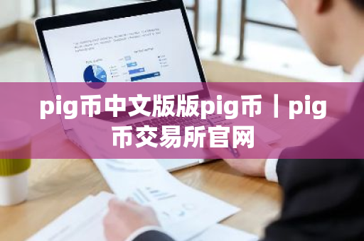 pig币中文版版pig币｜pig币交易所官网