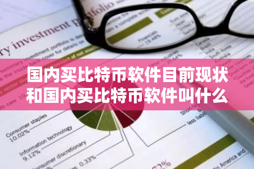 国内买比特币软件目前现状和国内买比特币软件叫什么详细介绍