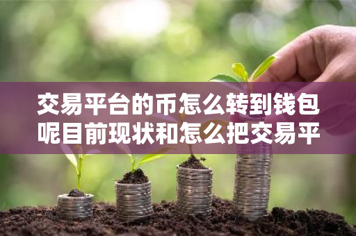 交易平台的币怎么转到钱包呢目前现状和怎么把交易平台的币转到钱包详细介绍