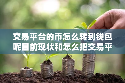 交易平台的币怎么转到钱包呢目前现状和怎么把交易平台的币转到钱包详细介绍-第1张图片-ZBLOG 交易平台的币怎么转到钱包呢目前现状和怎么把交易平台的币转到钱包详细介绍-第1张图片-ZBLOG