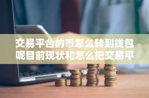交易平台的币怎么转到钱包呢目前现状和怎么把交易平台的币转到钱包详细介绍-第1张图片-ZBLOG