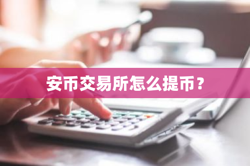 安币交易所怎么提币？