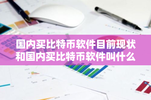 国内买比特币软件目前现状和国内买比特币软件叫什么详细介绍