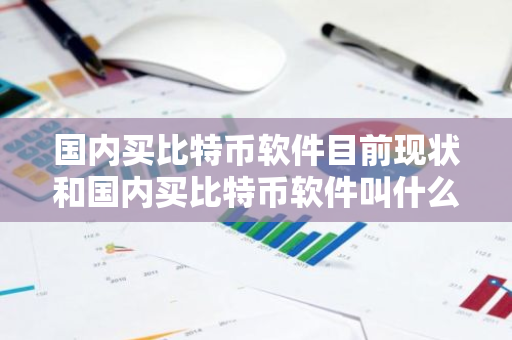 国内买比特币软件目前现状和国内买比特币软件叫什么详细介绍