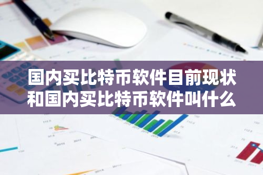 国内买比特币软件目前现状和国内买比特币软件叫什么详细介绍
