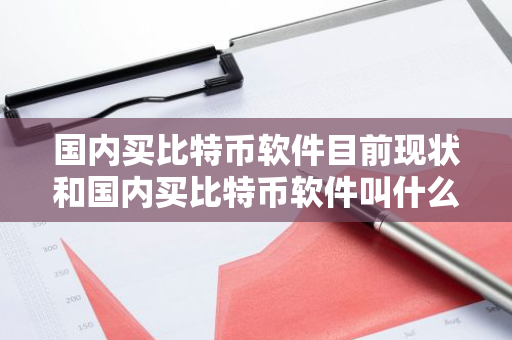国内买比特币软件目前现状和国内买比特币软件叫什么详细介绍