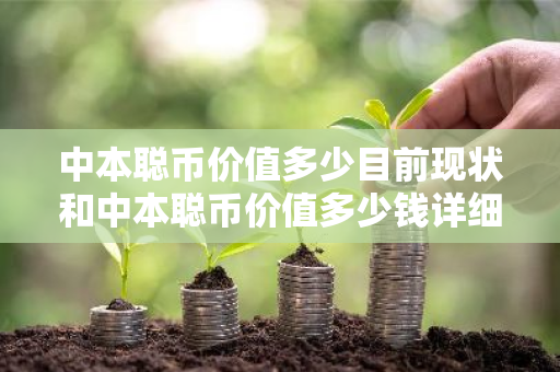 中本聪币价值多少目前现状和中本聪币价值多少钱详细介绍
