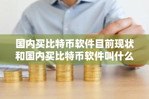 国内买比特币软件目前现状和国内买比特币软件叫什么详细介绍