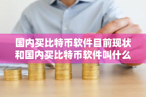 国内买比特币软件目前现状和国内买比特币软件叫什么详细介绍