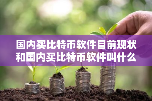 国内买比特币软件目前现状和国内买比特币软件叫什么详细介绍-第1张图片-ZBLOG 国内买比特币软件目前现状和国内买比特币软件叫什么详细介绍-第1张图片-ZBLOG