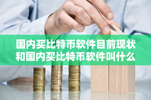 国内买比特币软件目前现状和国内买比特币软件叫什么详细介绍-第1张图片-ZBLOG 国内买比特币软件目前现状和国内买比特币软件叫什么详细介绍-第1张图片-ZBLOG