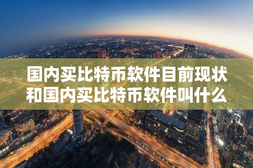 国内买比特币软件目前现状和国内买比特币软件叫什么详细介绍