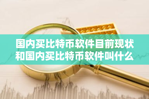 国内买比特币软件目前现状和国内买比特币软件叫什么详细介绍