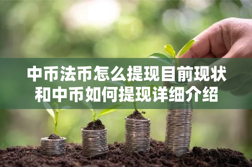 中币法币怎么提现目前现状和中币如何提现详细介绍