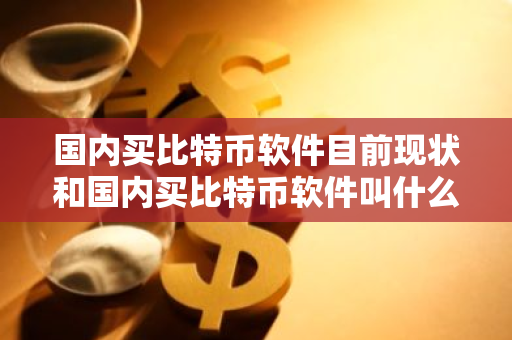 国内买比特币软件目前现状和国内买比特币软件叫什么详细介绍