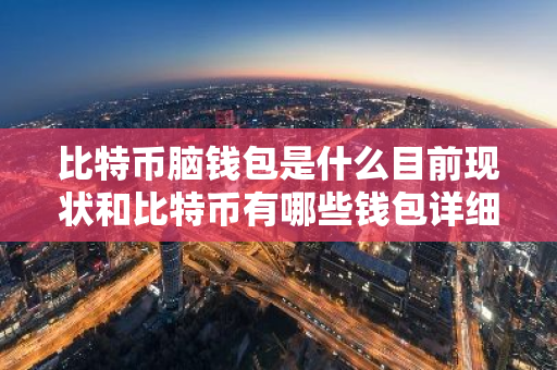 比特币脑钱包是什么目前现状和比特币有哪些钱包详细介绍-第1张图片-ZBLOG 比特币脑钱包是什么目前现状和比特币有哪些钱包详细介绍-第1张图片-ZBLOG