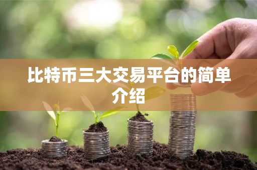 比特币三大交易平台的简单介绍-第1张图片-ZBLOG 比特币三大交易平台的简单介绍-第1张图片-ZBLOG