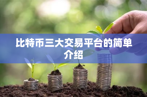 比特币三大交易平台的简单介绍-第1张图片-ZBLOG 比特币三大交易平台的简单介绍-第1张图片-ZBLOG