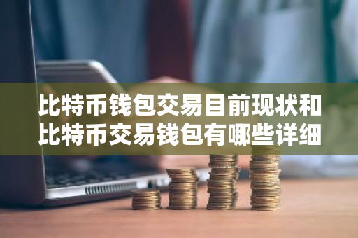 比特币钱包交易目前现状和比特币交易钱包有哪些详细介绍