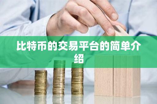 比特币的交易平台的简单介绍