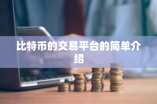 比特币的交易平台的简单介绍