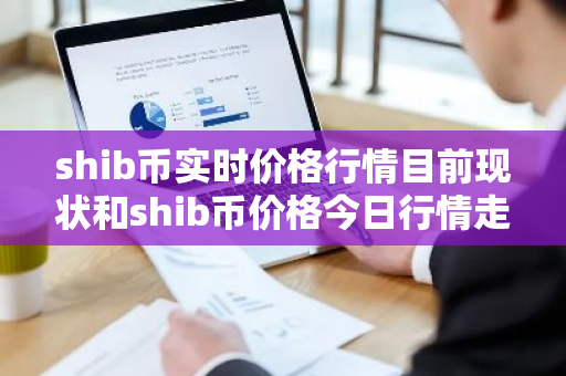 shib币实时价格行情目前现状和shib币价格今日行情走势详细介绍