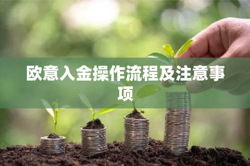欧意入金操作流程及注意事项-第1张图片-ZBLOG 欧意入金操作流程及注意事项-第1张图片-ZBLOG