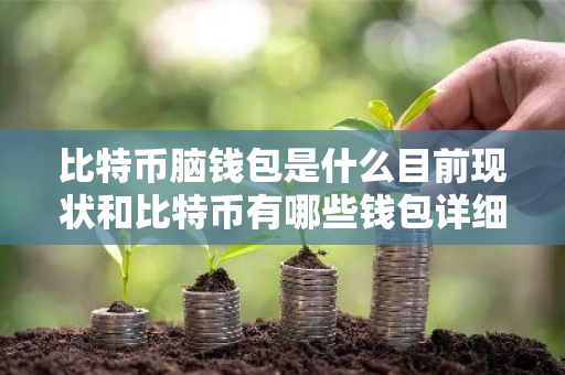 比特币脑钱包是什么目前现状和比特币有哪些钱包详细介绍
