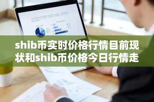 shib币实时价格行情目前现状和shib币价格今日行情走势详细介绍