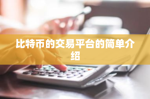 比特币的交易平台的简单介绍