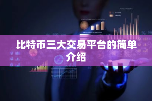 比特币三大交易平台的简单介绍-第1张图片-ZBLOG 比特币三大交易平台的简单介绍-第1张图片-ZBLOG