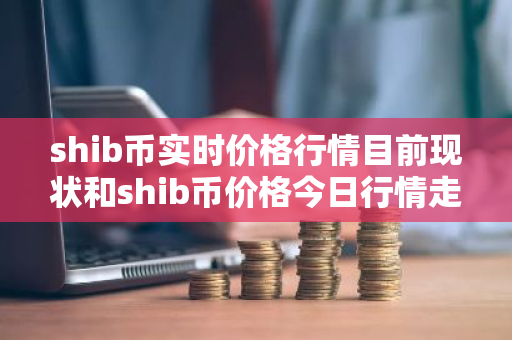 shib币实时价格行情目前现状和shib币价格今日行情走势详细介绍