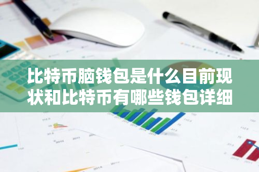 比特币脑钱包是什么目前现状和比特币有哪些钱包详细介绍