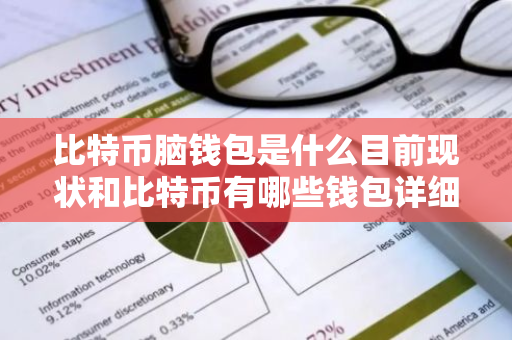 比特币脑钱包是什么目前现状和比特币有哪些钱包详细介绍