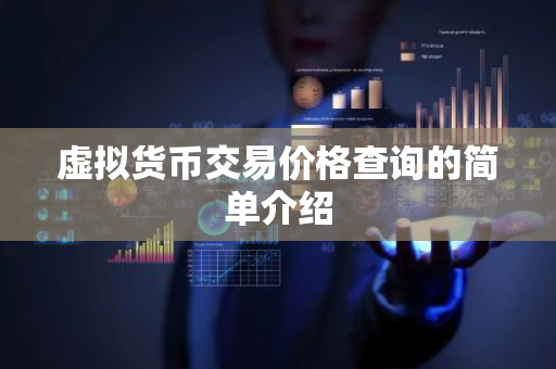 虚拟货币交易价格查询的简单介绍