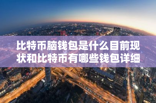 比特币脑钱包是什么目前现状和比特币有哪些钱包详细介绍