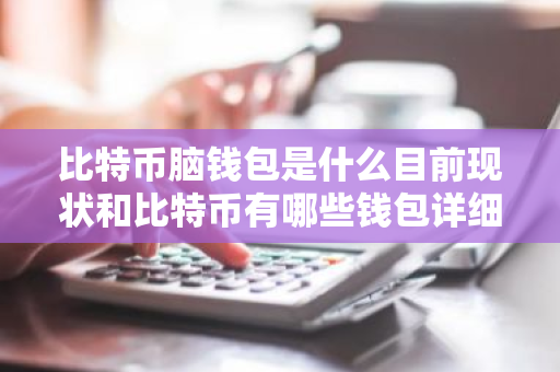 比特币脑钱包是什么目前现状和比特币有哪些钱包详细介绍