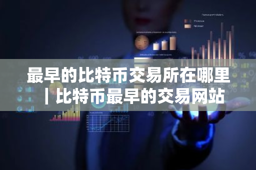 最早的比特币交易所在哪里|比特币最早的交易网站-第1张图片-ZBLOG 最早的比特币交易所在哪里|比特币最早的交易网站-第1张图片-ZBLOG