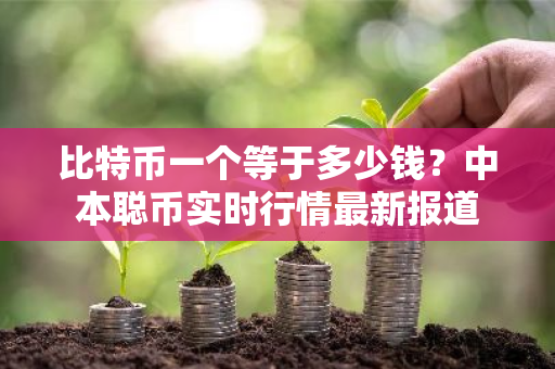 比特币一个等于多少钱？中本聪币实时行情最新报道