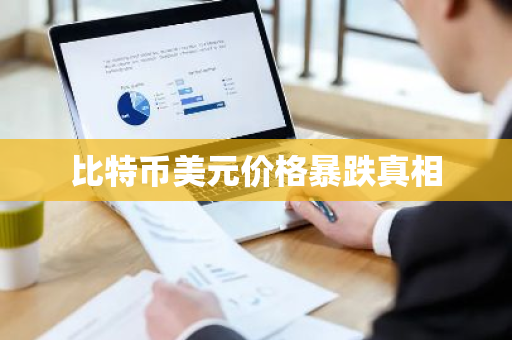 比特币美元价格暴跌真相