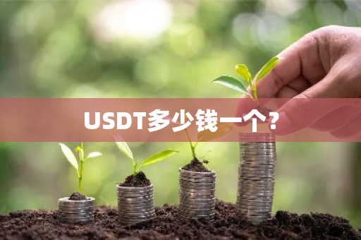 USDT多少钱一个？