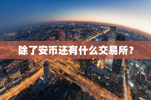 除了安币还有什么交易所？