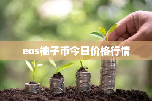 eos柚子币今日价格行情